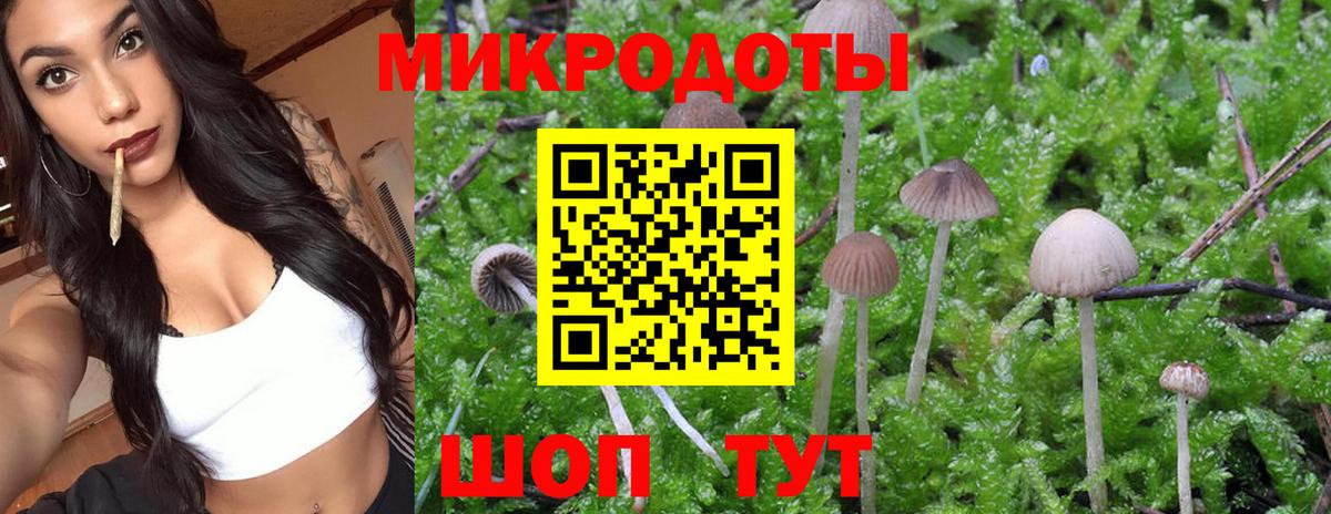 Псилоцибиновые грибы ЛСД Сертолово